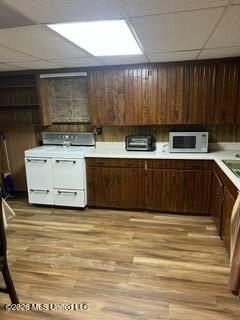 Picture 31