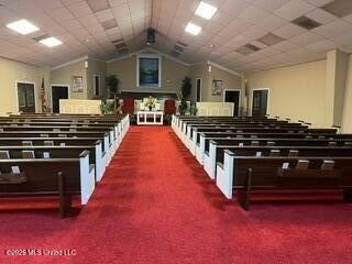 Picture 11