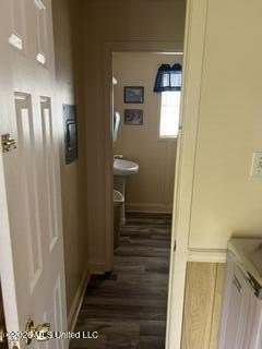 Picture 38
