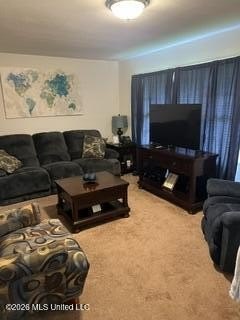 Picture 29