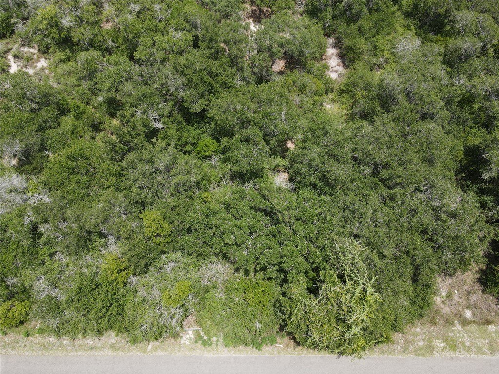 Picture 7