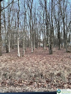 LAND - Tunkhannock Twp, PA