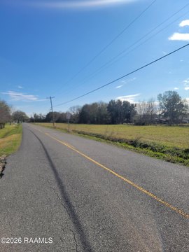 Cleared Land Ready for Development