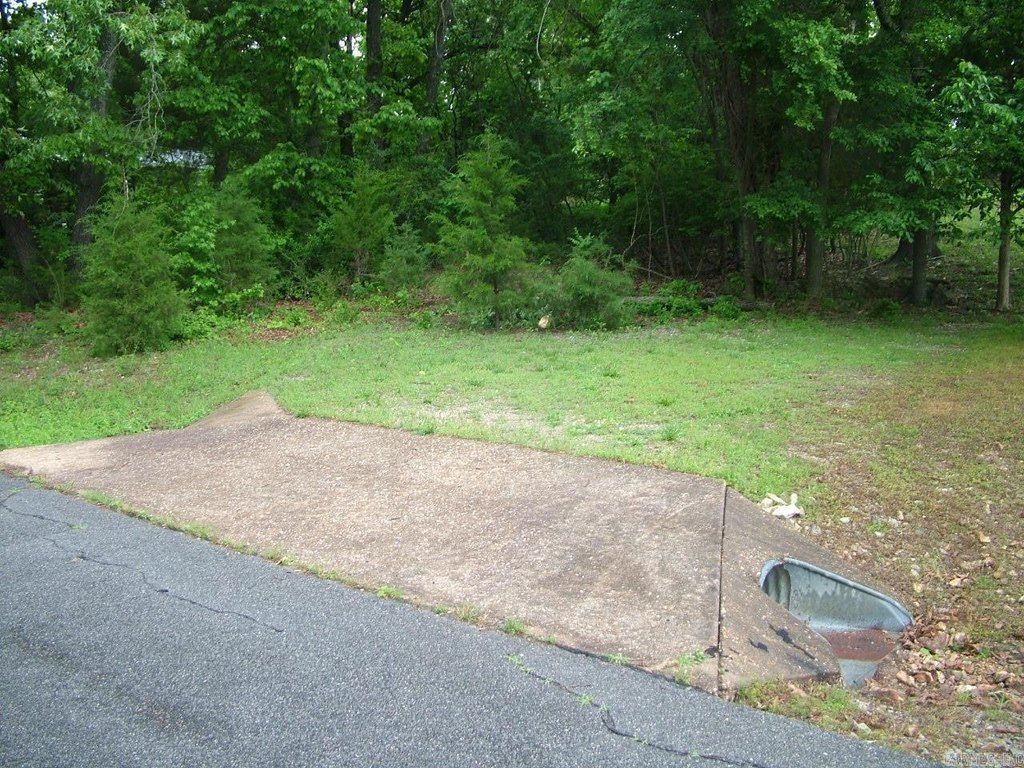 Picture 2
