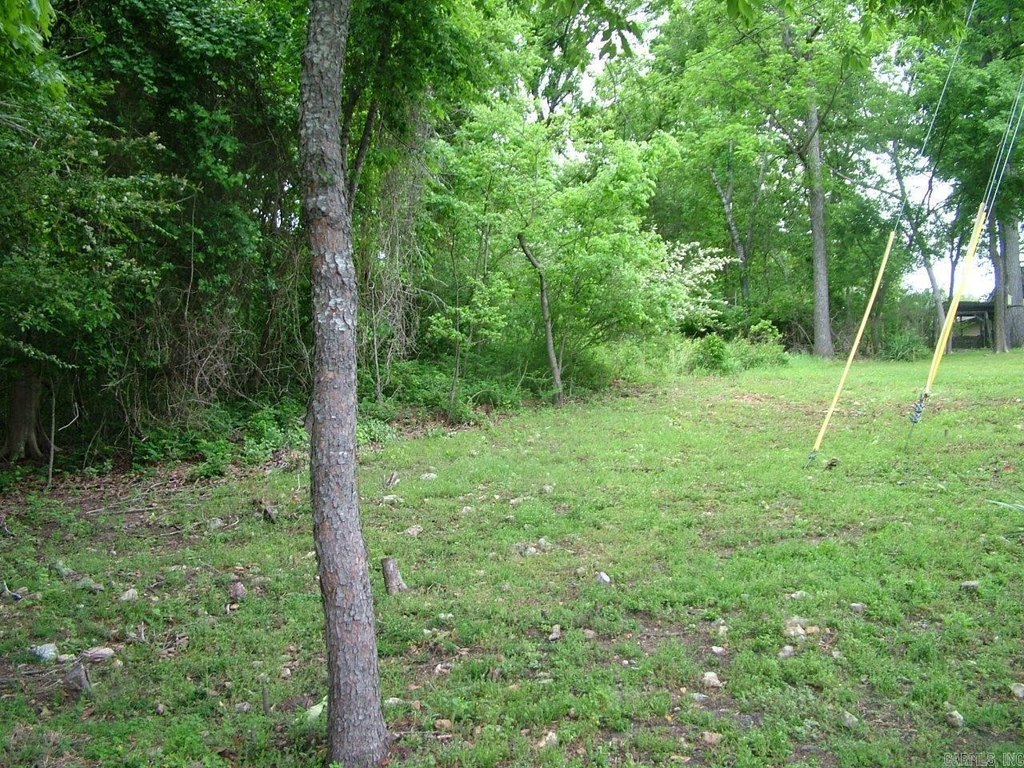 Picture 3