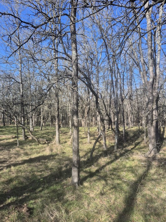 Picture 5