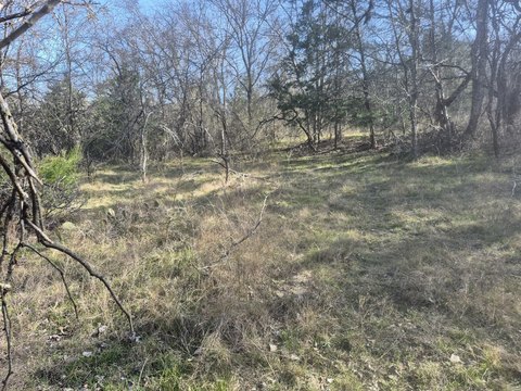 Heavily Wooded Hunting Land Tract