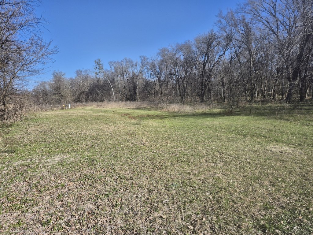 Picture 16