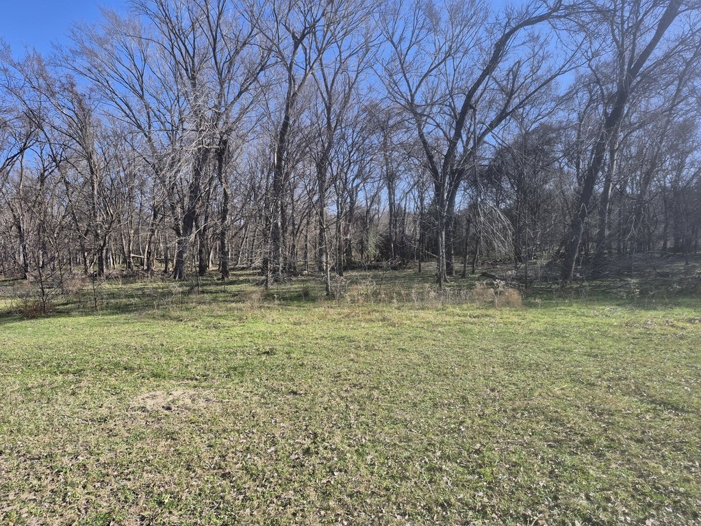 Picture 17