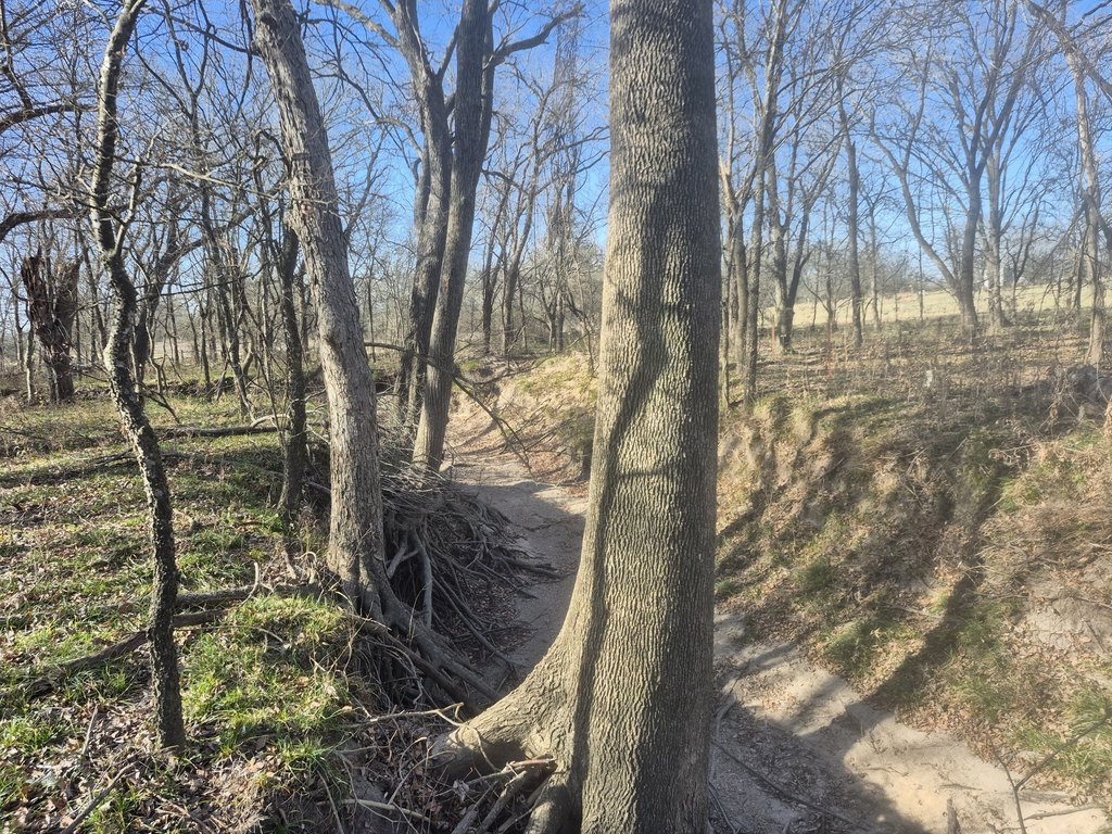 Picture 19