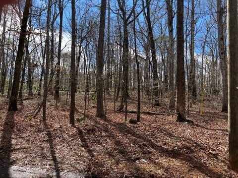 Residential Lots in Ellenwood, GA