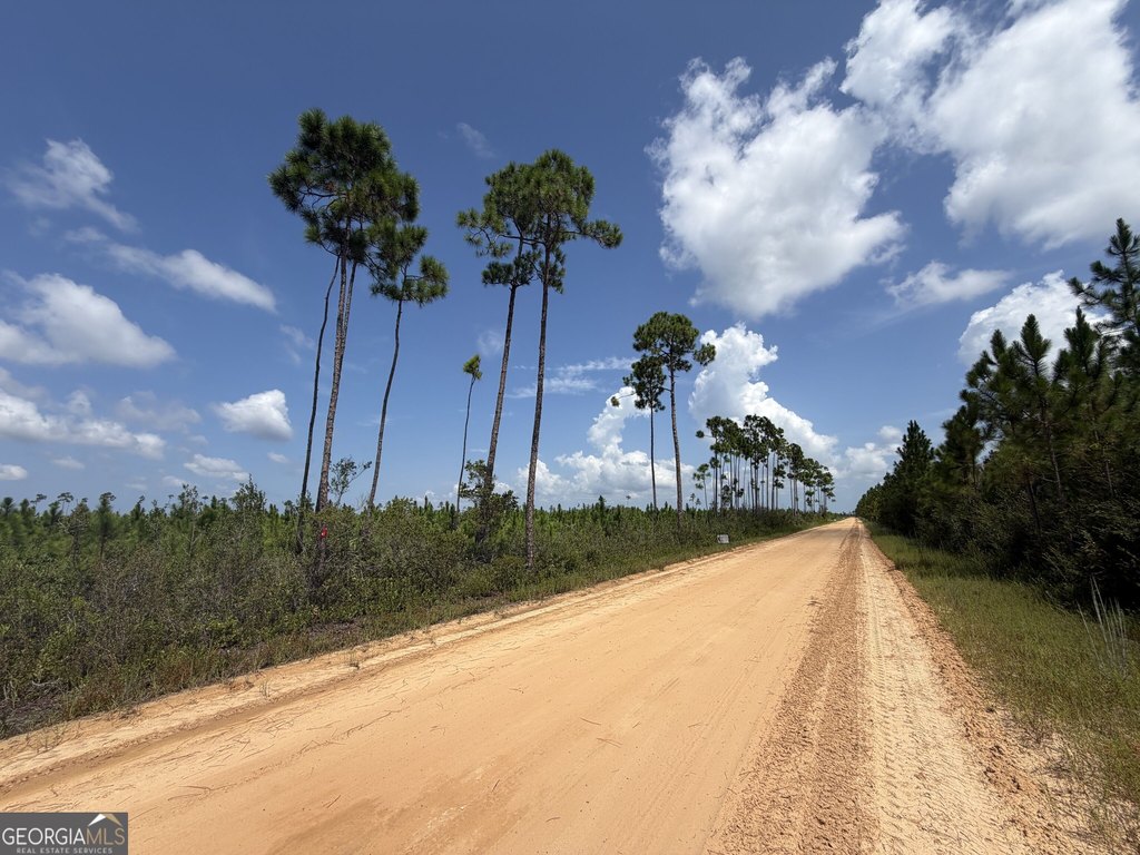 Picture 17