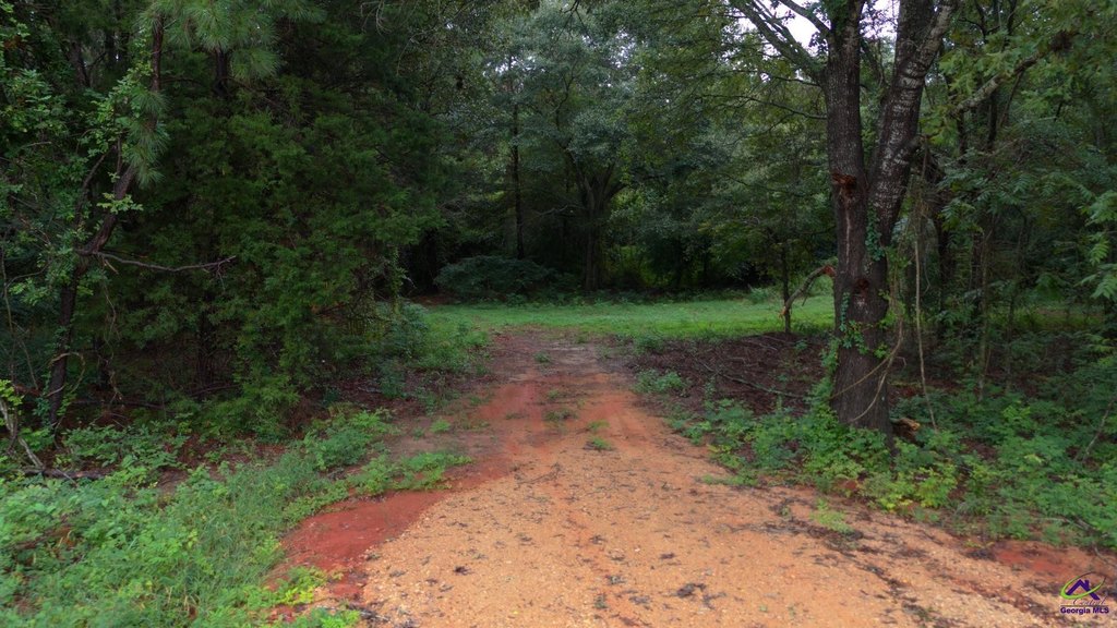 Picture 23
