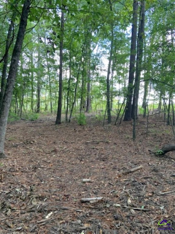 Picture 4