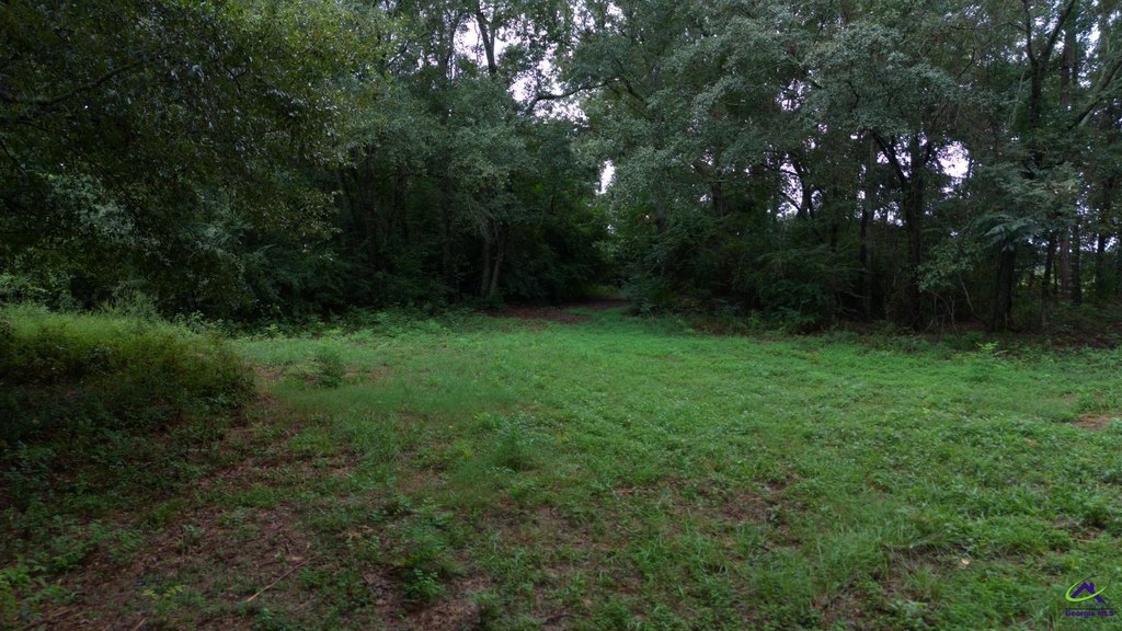 Picture 16