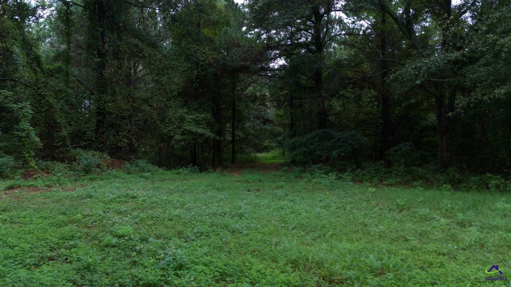 Picture 21