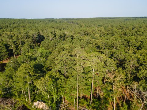Land, Wagener, SC