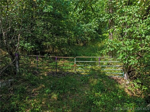 52 Acres of Hunting Land