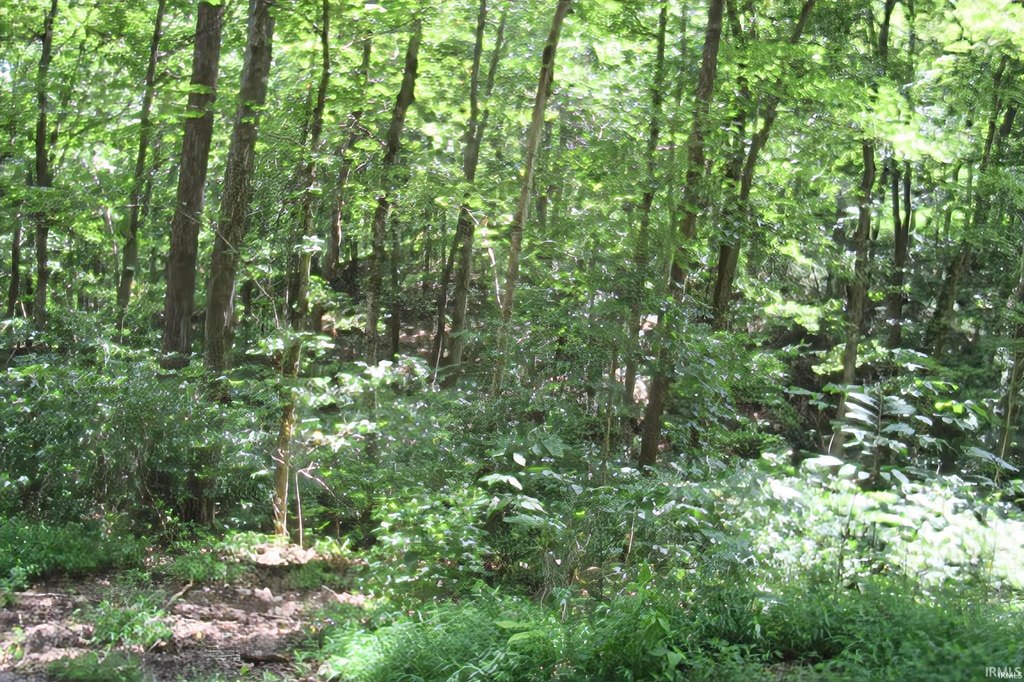 Picture 6