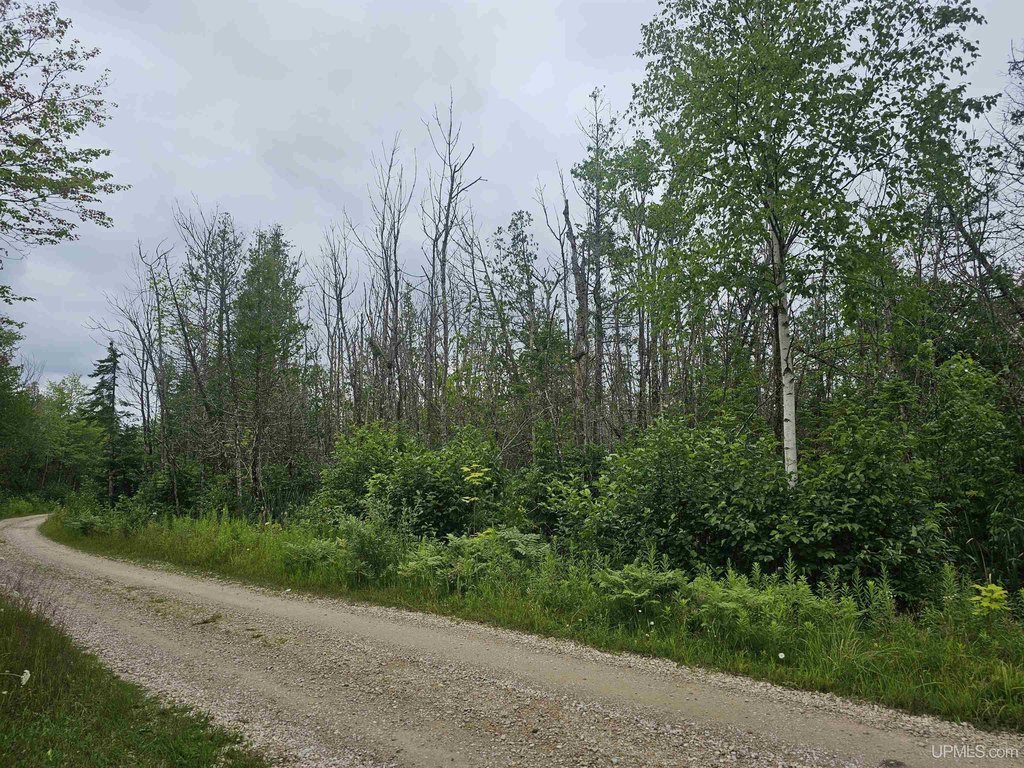 Picture 29