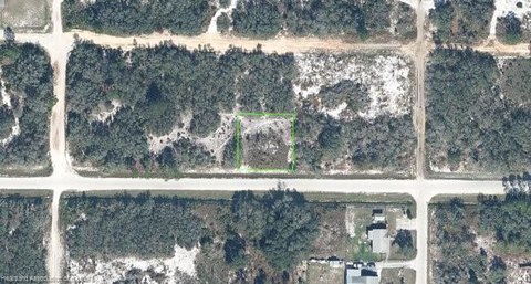 LAND - Avon Park, FL