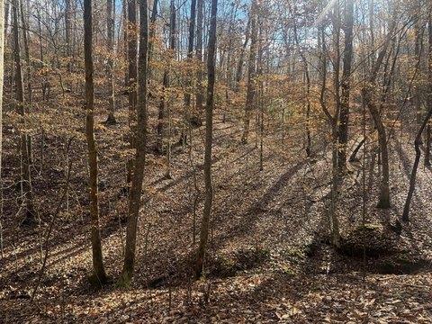 Wooded Cul-de-Sac Home Site