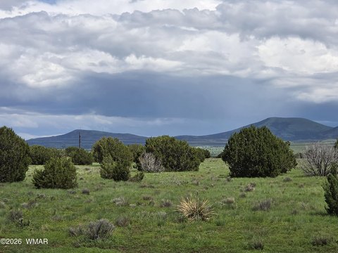 LAND - Vernon, AZ