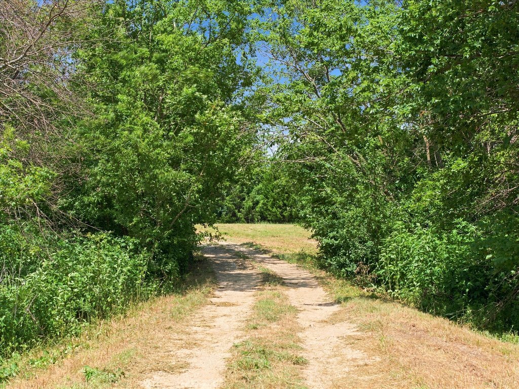 Picture 4