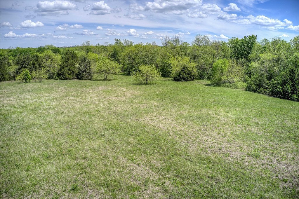 Picture 30
