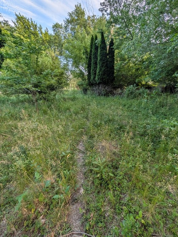 Picture 8