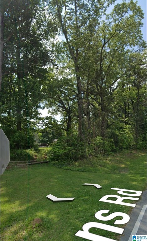 Picture 3