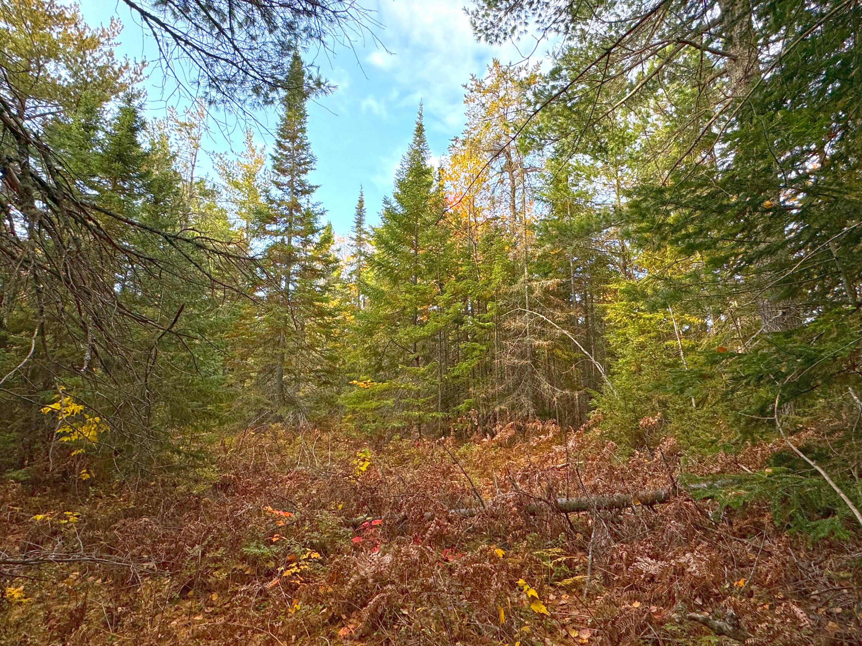 Land Parcel Near State Land