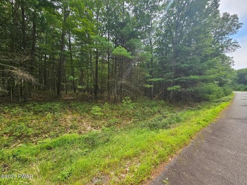 Residential Land Near Lake Wallenpaupack