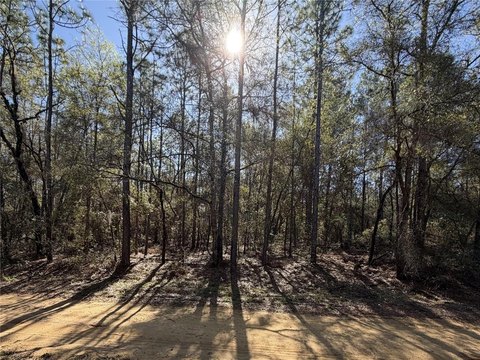 Buildable Lot Near Two Lakes