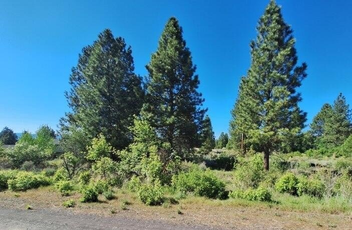 Residential Lot Near Agency Lake