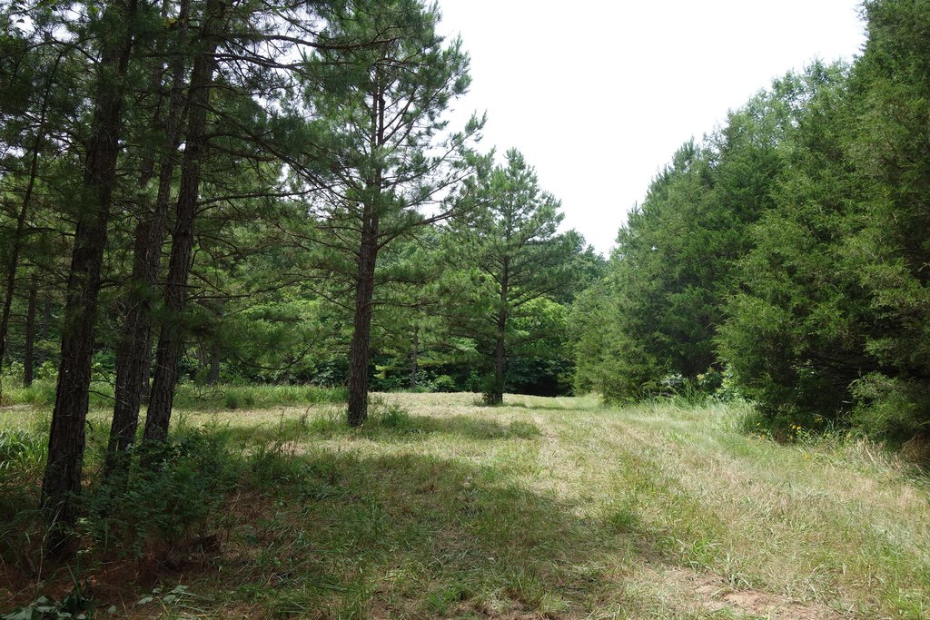 Picture 20