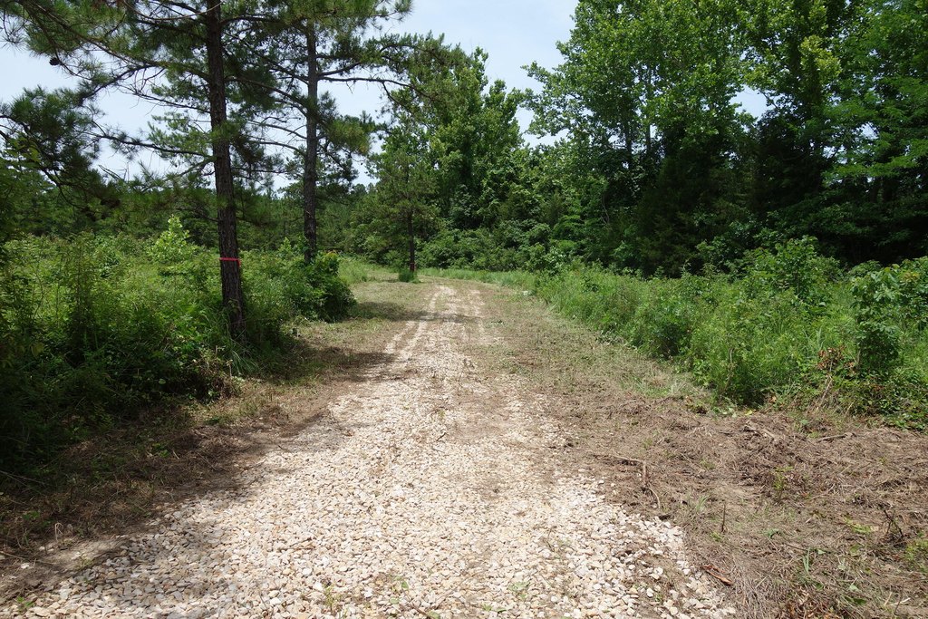 Picture 13