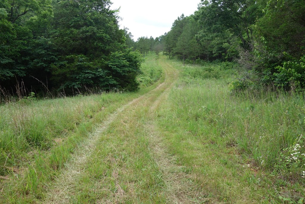 Picture 29