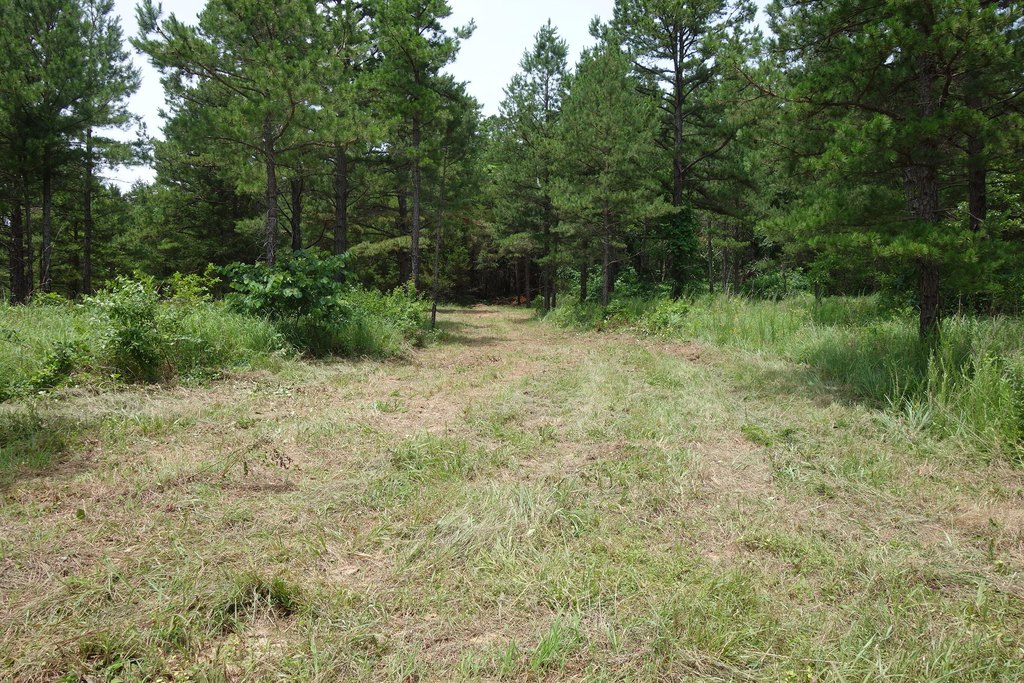 Picture 19