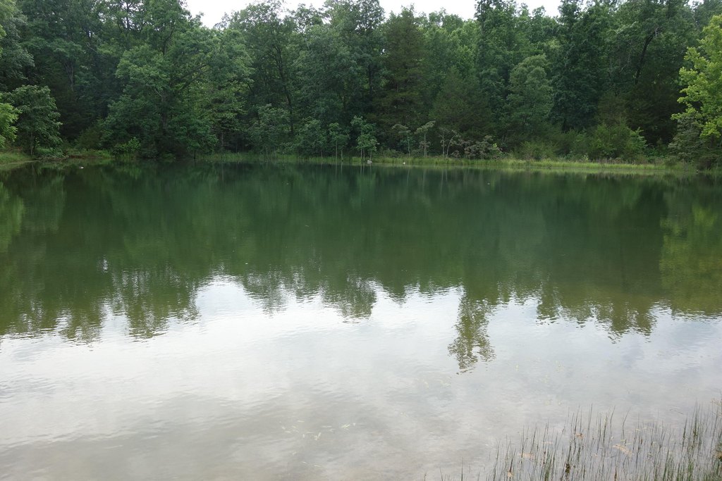 Picture 31