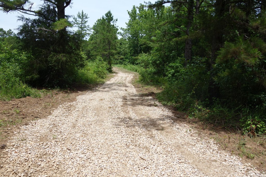 Picture 10