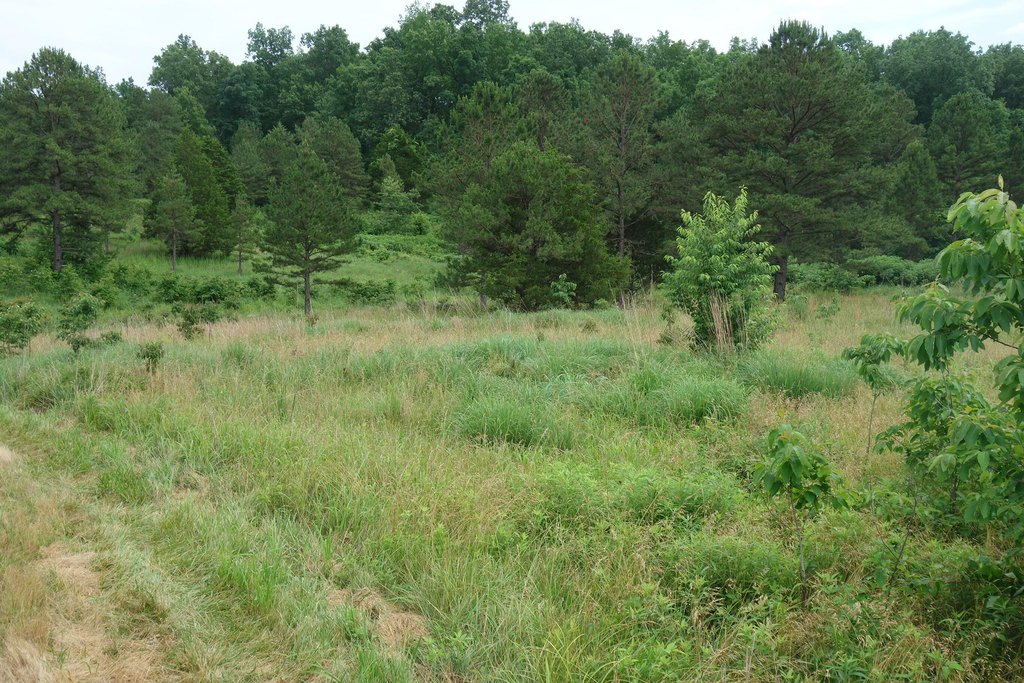 Picture 23