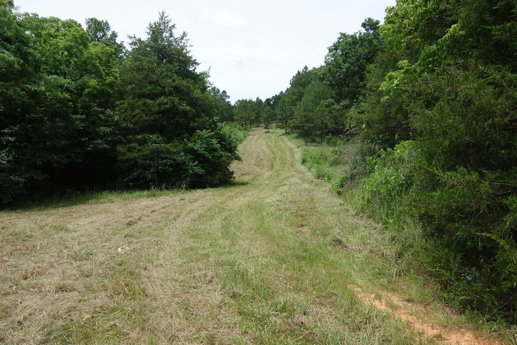 Picture 24