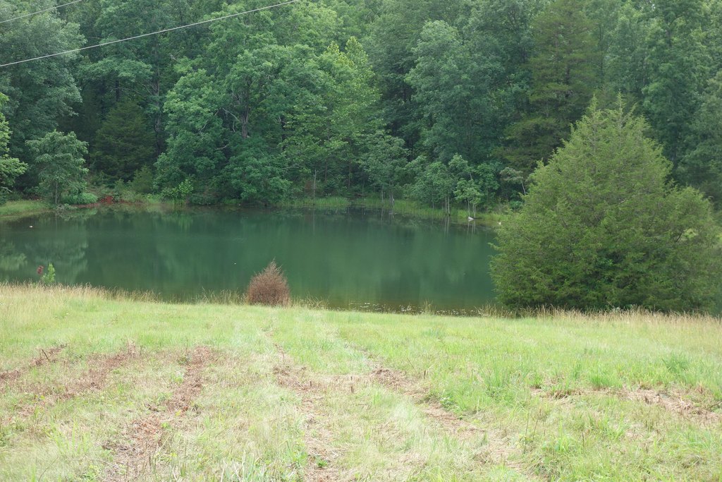 Picture 36