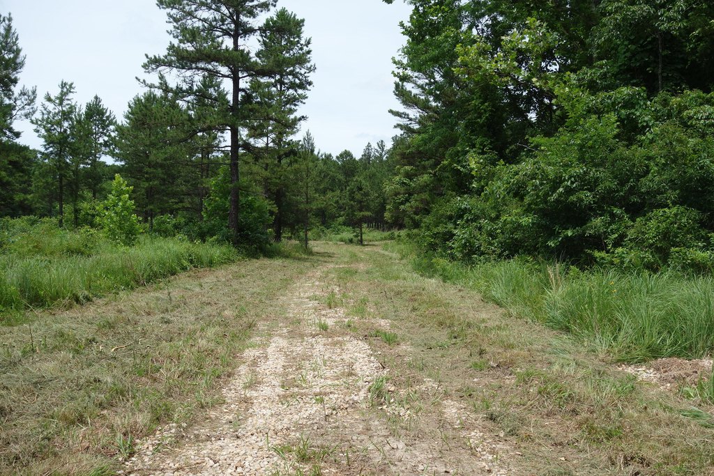Picture 14