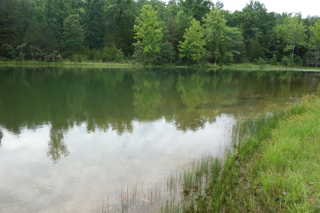 Picture 32