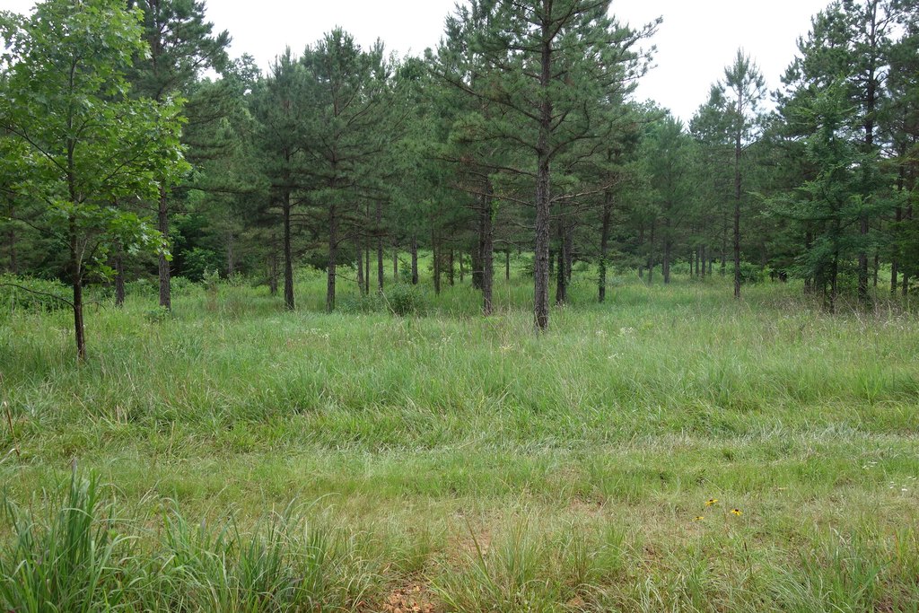 Picture 12