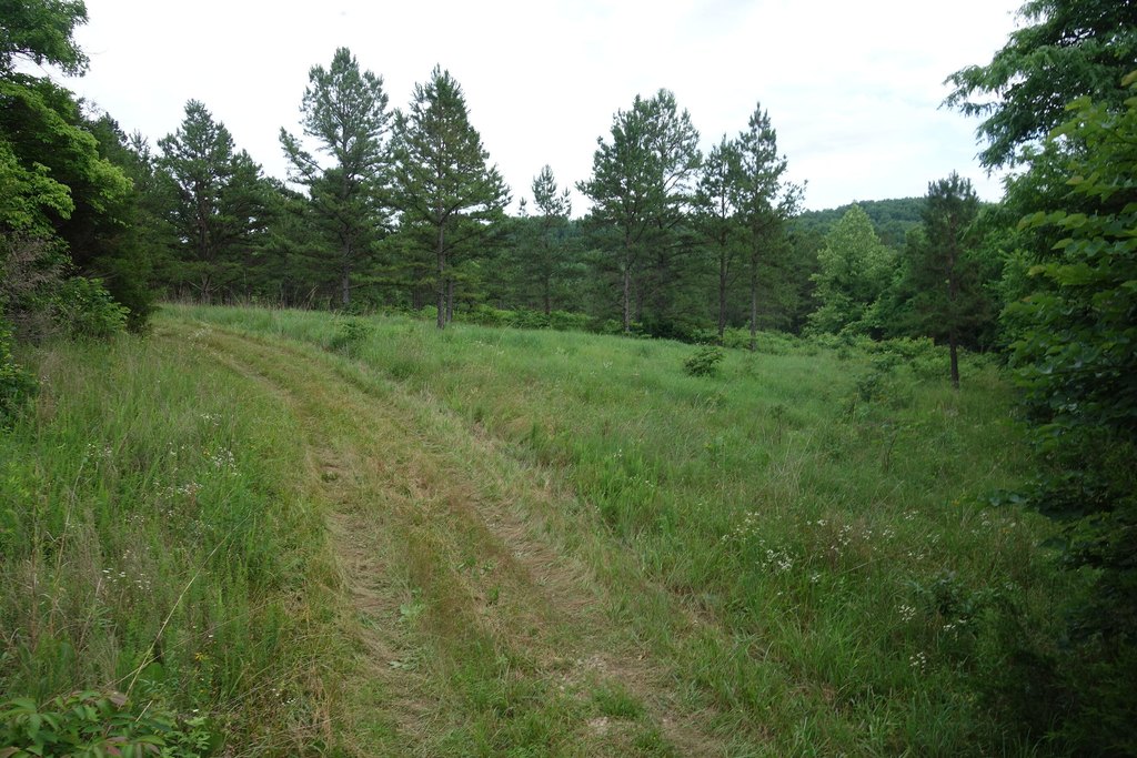 Picture 26
