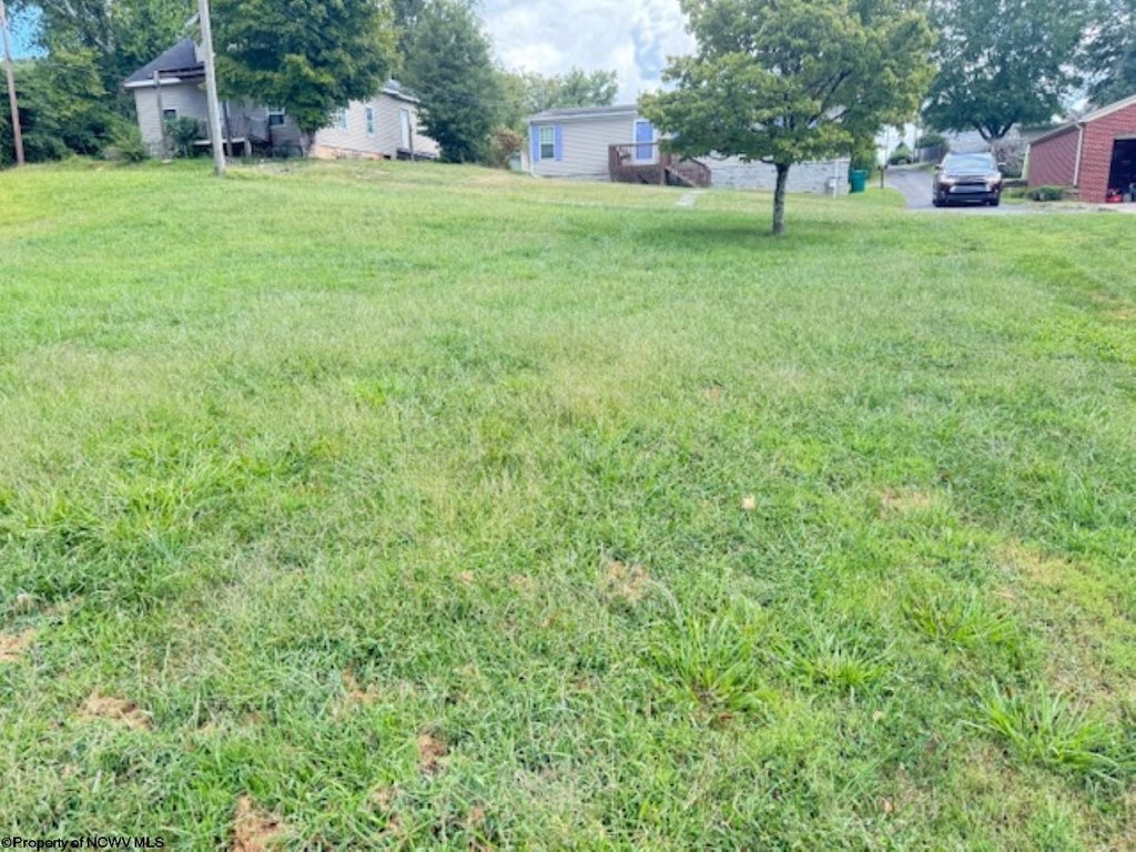 Picture 18