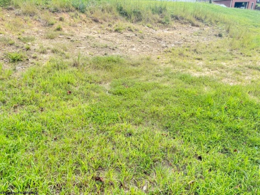 Picture 13